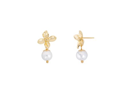 Shashi Baby Fiorina Stud Earring Vermeil on Sterling Silver For Cheap